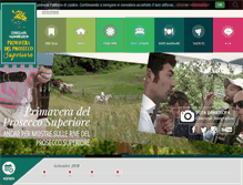 Tablet Screenshot of primaveradelprosecco.it